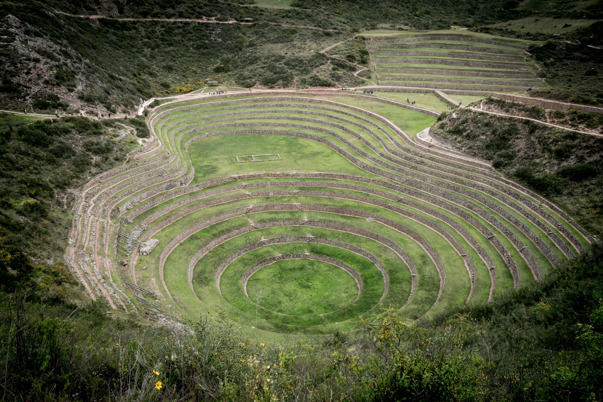 Moray andenes