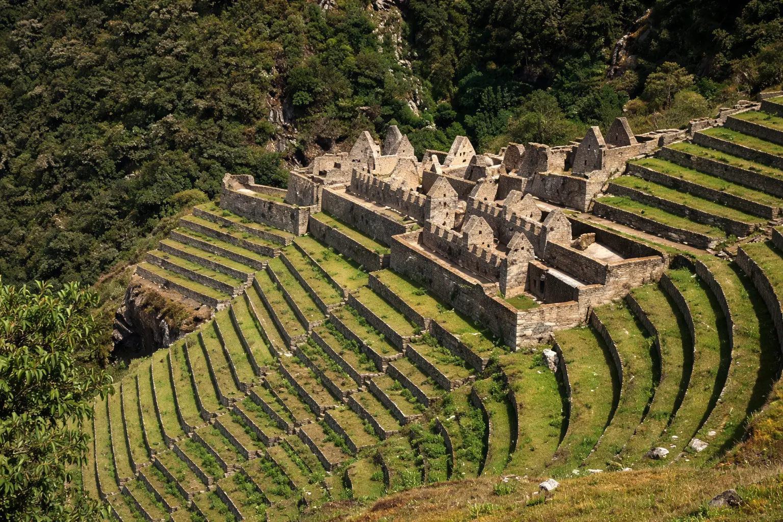 Wiñaywayna